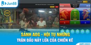 Sảnh AOG - Hội Tụ Những Trận Đấu Nảy Lửa Của Chiến Kê