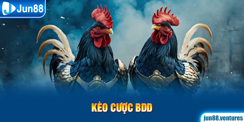 Kèo cược BDD