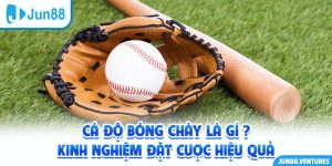 Cá Độ Bóng Chày Là Gì? Kinh Nghiệm Cược Dễ Thắng