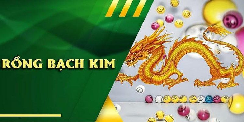 Tổng hợp các loại dàn đề rồng bạch kim uy tín