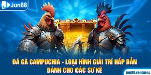 Đá Gà Campuchia - Loại Hình Giải Trí Hấp Dẫn Dành Cho Các Sư Kê