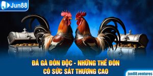 Gà Đá Đòn Độc - Những Thế Đòn Có Sức Sát Thương Cao