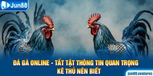 Đá Gà Online - Tất Tật Thông Tin Quan Trọng Kê Thủ Nên Biết