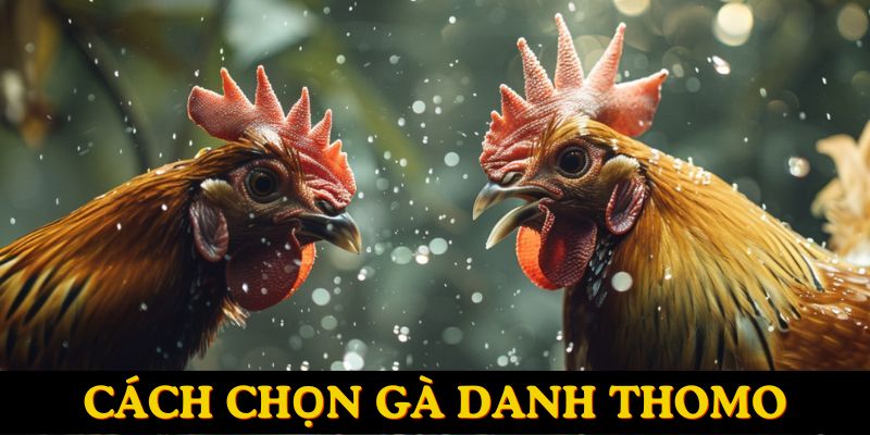 Cập nhật cách chọn giống kê chuẩn, nhanh chóng