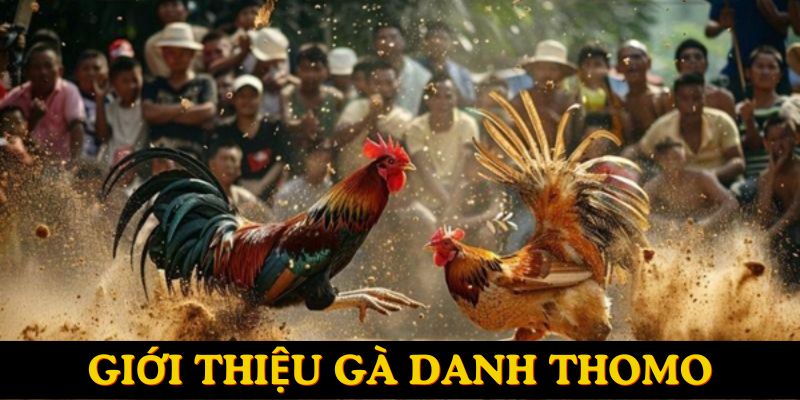 Giới thiệu sản phẩm ngày càng thu hút người chơi tham gia