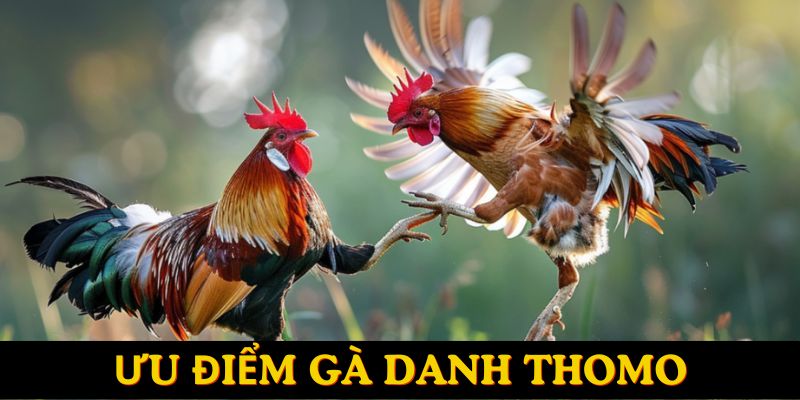 Khám phá đặc điểm nổi bật, gây ấn tượng với mọi người 