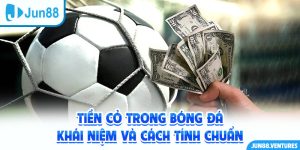 Tiền Cỏ Trong Bóng Đá - Khái Niệm Và Cách Tính Chuẩn