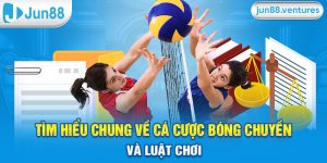 Cá Cược Bóng Chuyền Hấp Dẫn, Kịch Tính Tại Nhà Cái Jun88